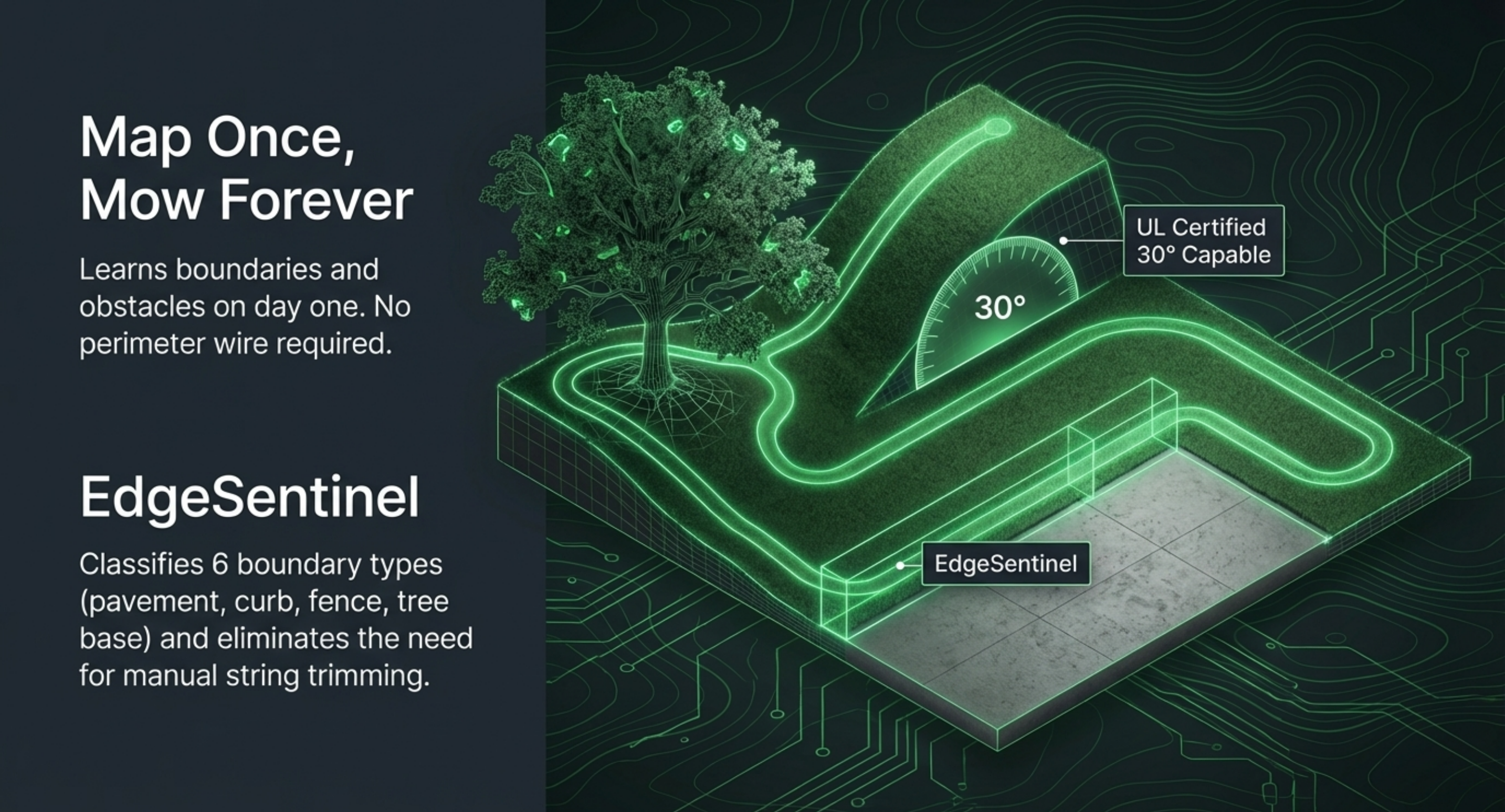 Dog urine is destroying your lawn — here is how AI fixes it