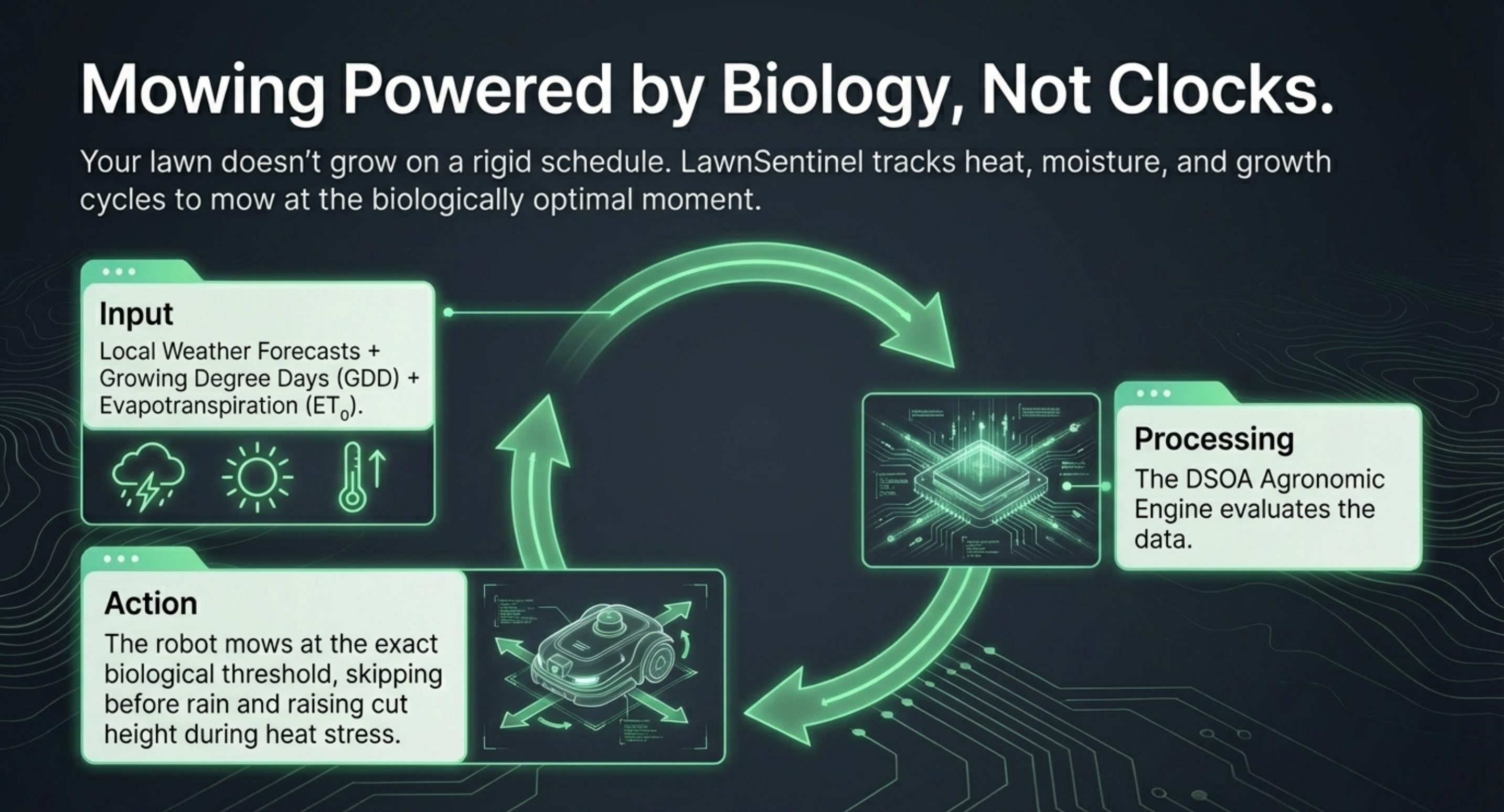 LawnSentinel NDVI turf mapping — stressed zones, dead zones (NDVI less than 0.2), and thriving zones color-coded on a property map. Stressed and dead patches detected before visible to the human eye.